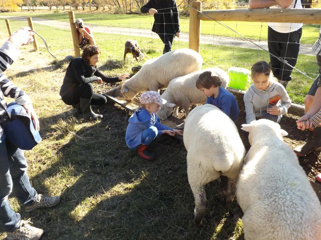 Karetu Downs Farm Stay Hawarden Exteriör bild