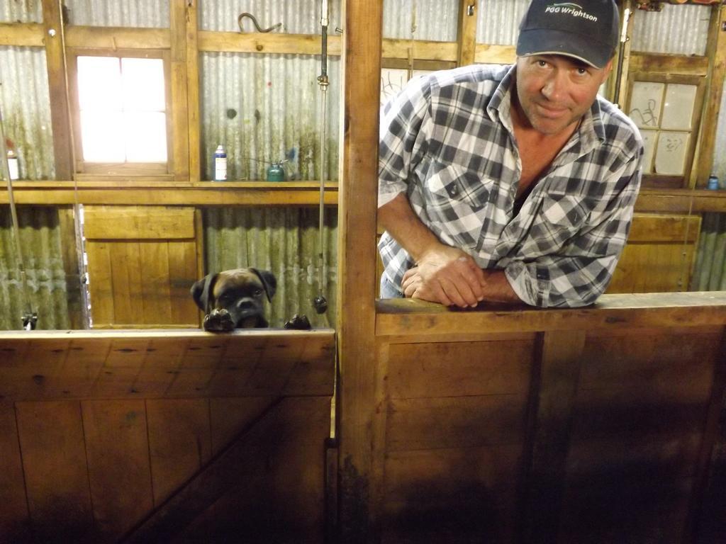 Karetu Downs Farm Stay Hawarden Exteriör bild