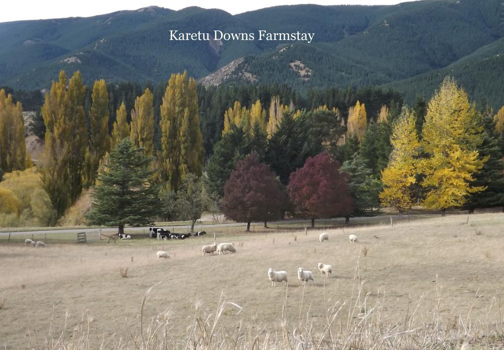 Karetu Downs Farm Stay Hawarden Exteriör bild