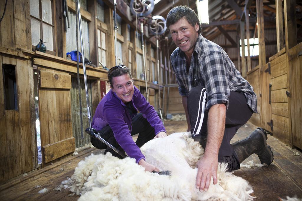 Karetu Downs Farm Stay Hawarden Exteriör bild