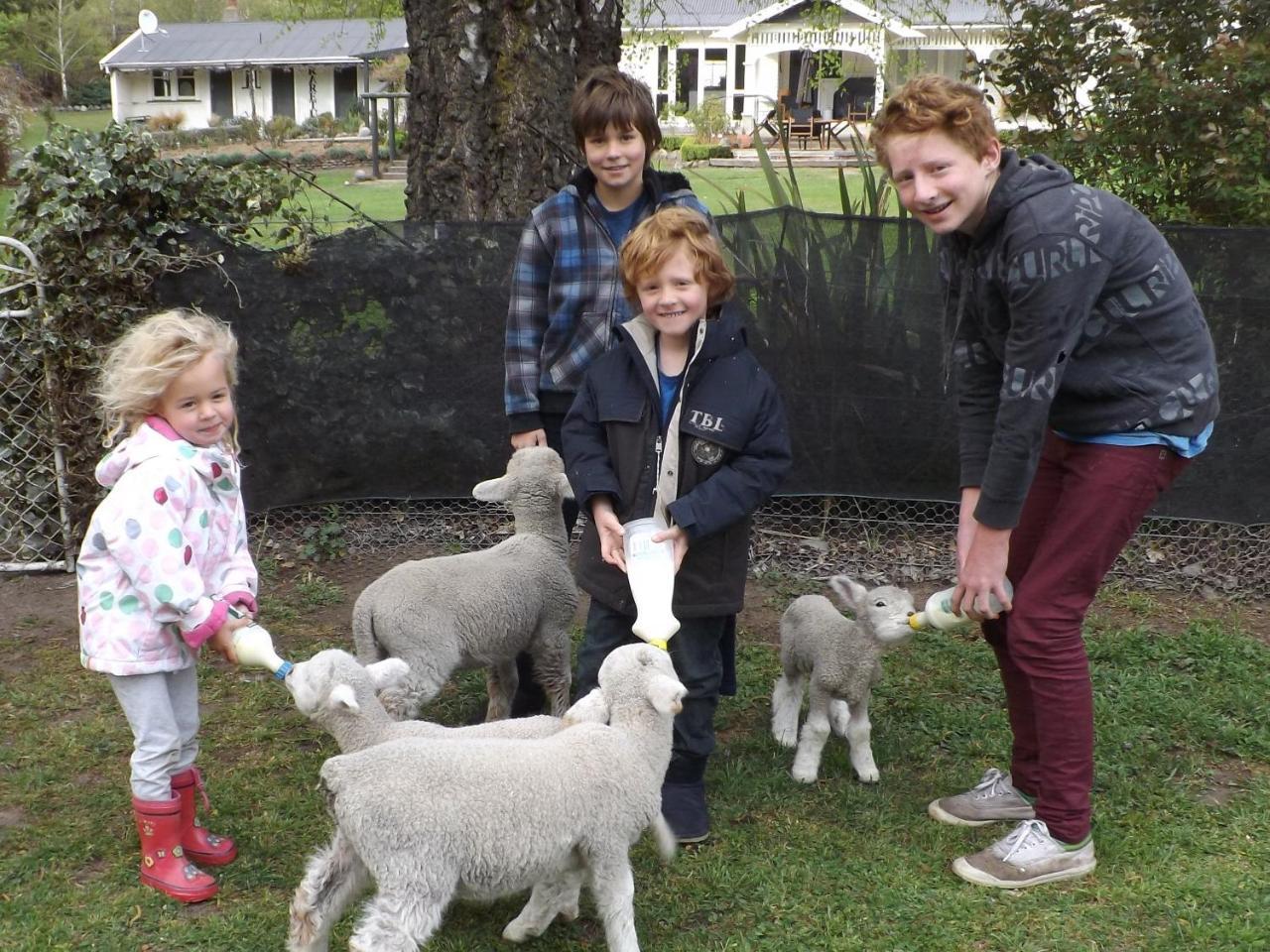 Karetu Downs Farm Stay Hawarden Exteriör bild
